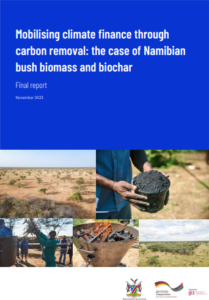GIZ-South Pole-Mobilising Climate Finance Through Carbon Removal  The Case Of Namibian Bush Biomass And Biochar